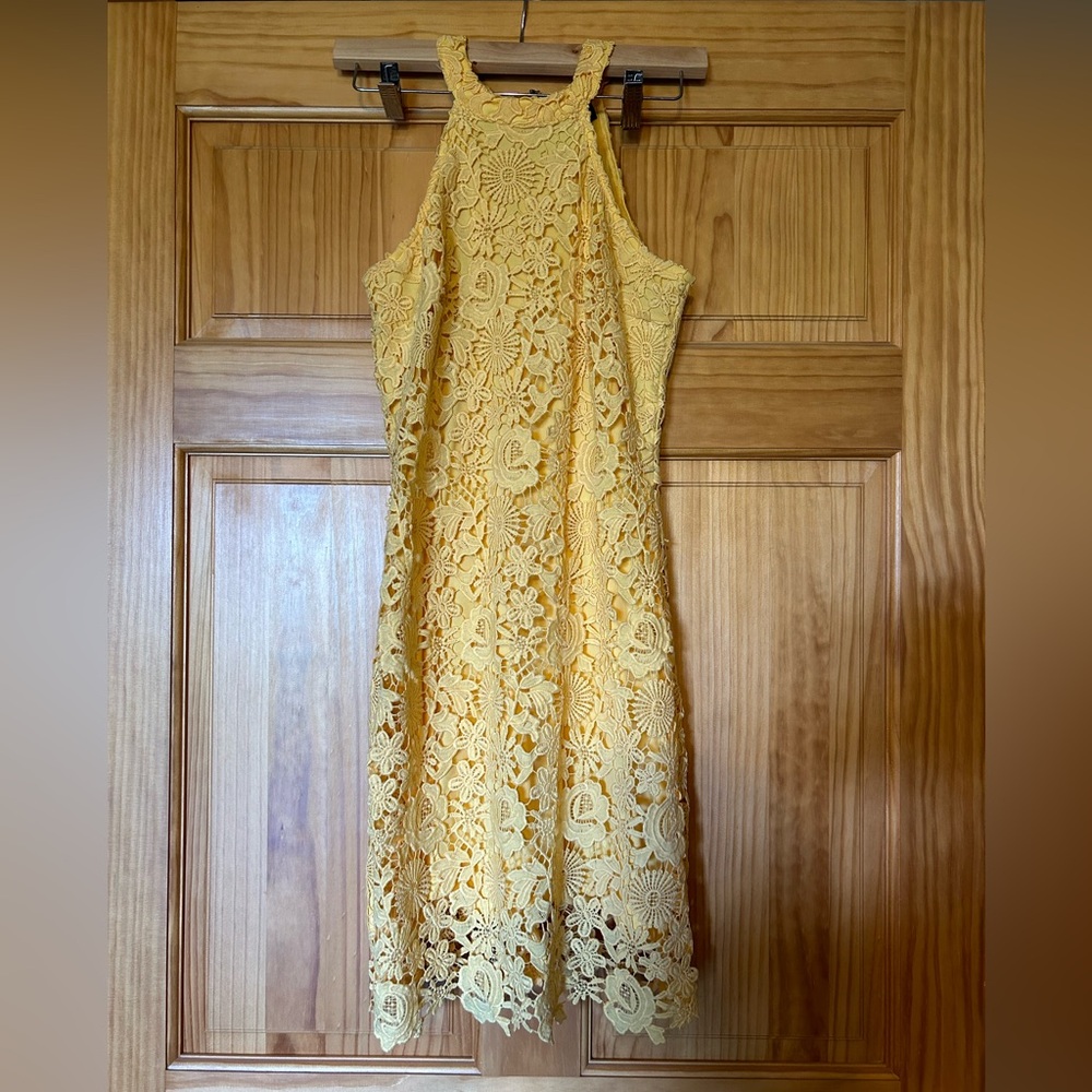 Lulus Lace Dress